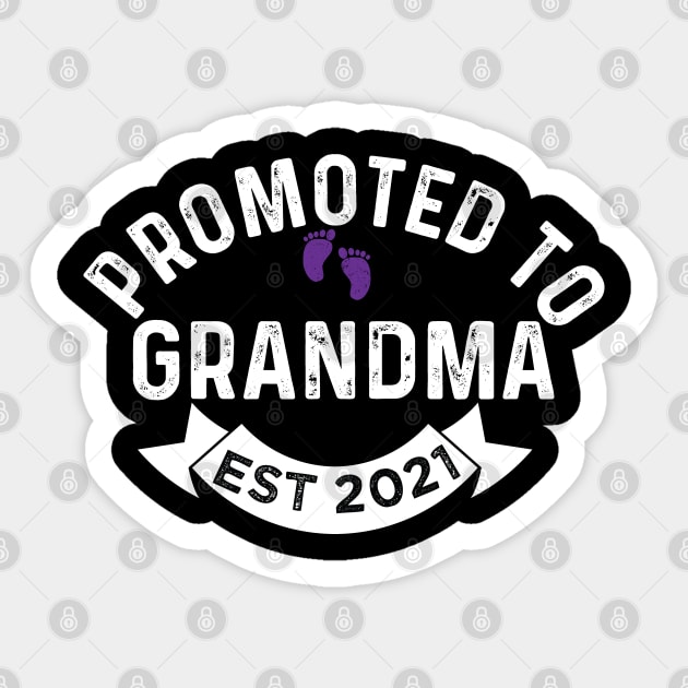 promoted to grandma est 2021 Sticker by PhiloArt